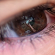Image for article titled Shooting Challenge: Focus Stacking Gallery